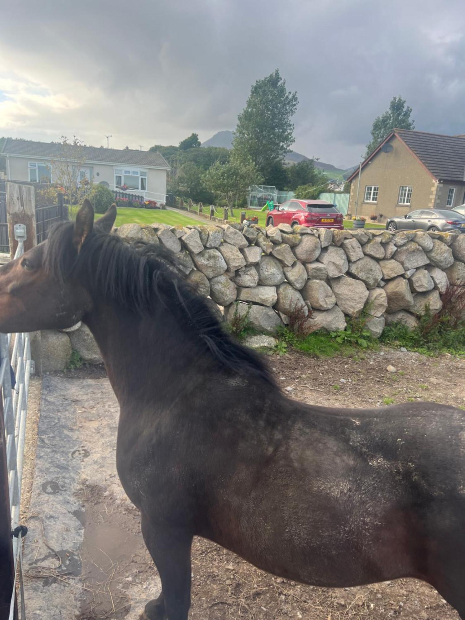 Moneydarragh Cottage With Uninterrupted Mountain And Sea Views- Hot Tub Available For Hire Annalong Luaran gambar